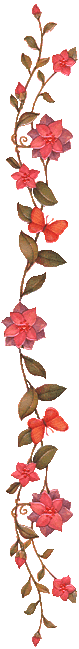 bvine3.gif (18828 bytes)
